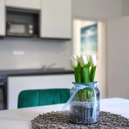 Mons شقة بولا